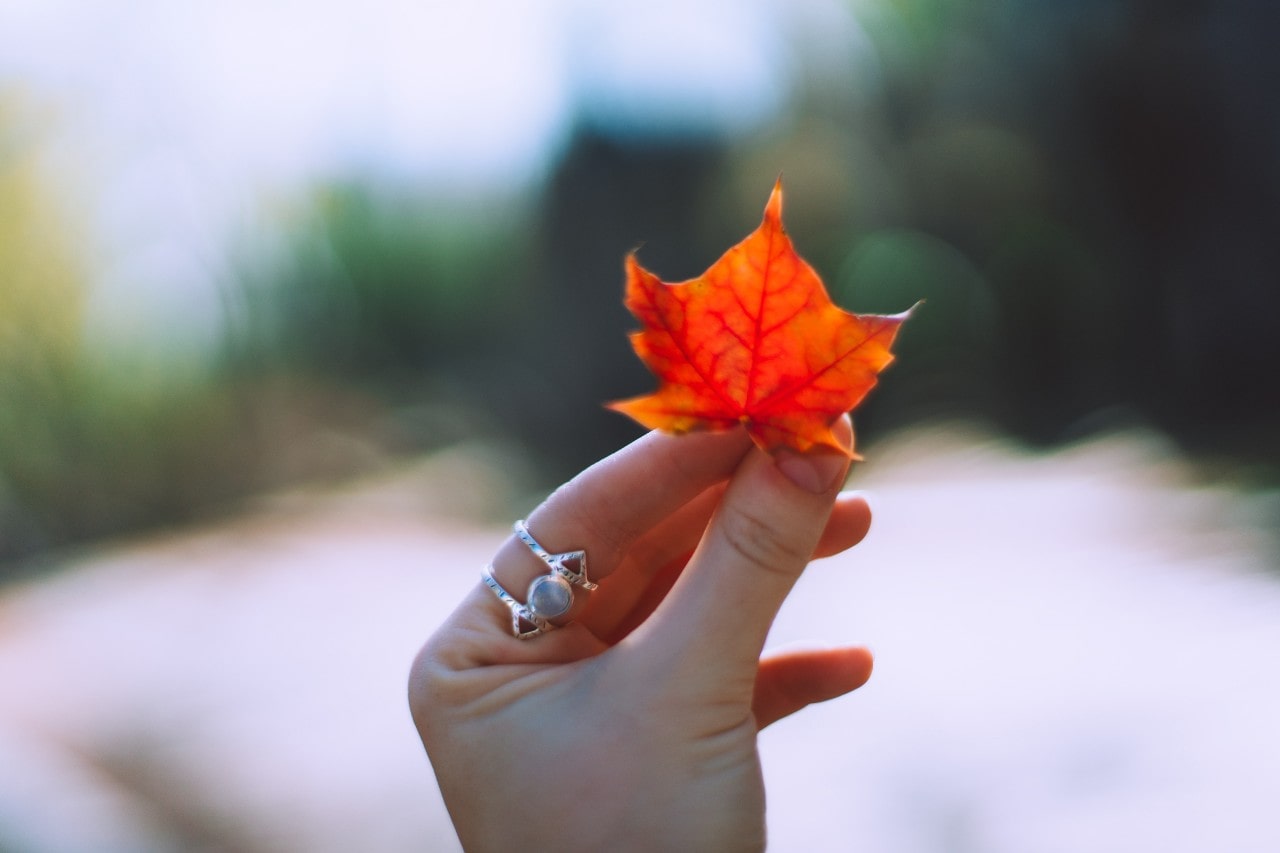 A close up of a hand with a white gold gemstone ring holding an orange autumn leaf against a blurry background.