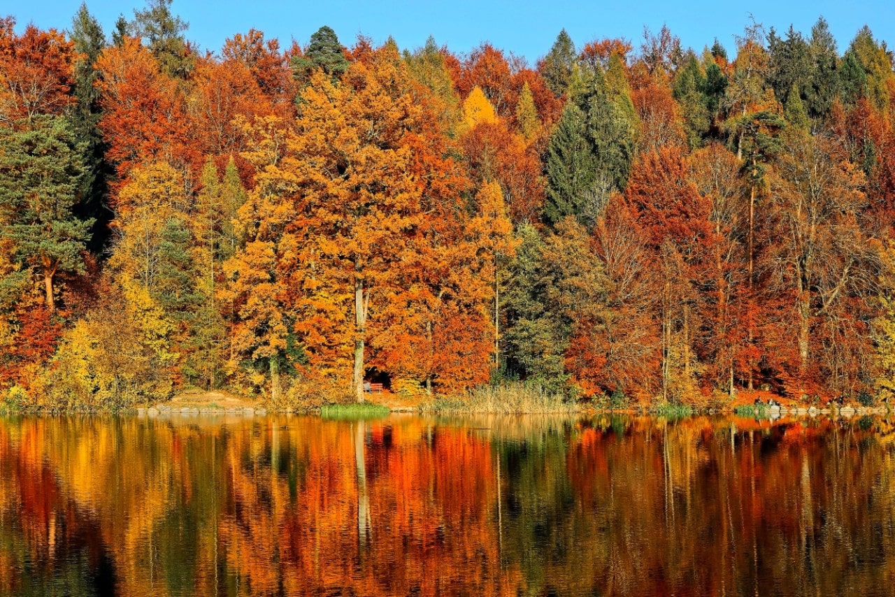 A picture of an autumn landscape, mirroring in the lake