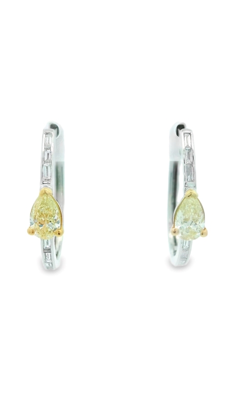 Frederic Sage Earring  ERA-YD219YW